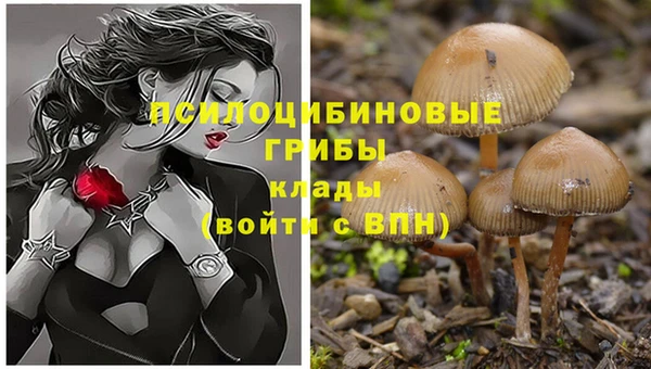 PSILOCYBIN Алексин