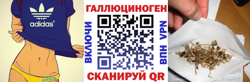 дарк нет состав  mega рабочий сайт  Наволоки  Псилоцибиновые грибы ЛСД 